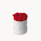 Luxury Everlasting Roses - Flat Design - Petite Size